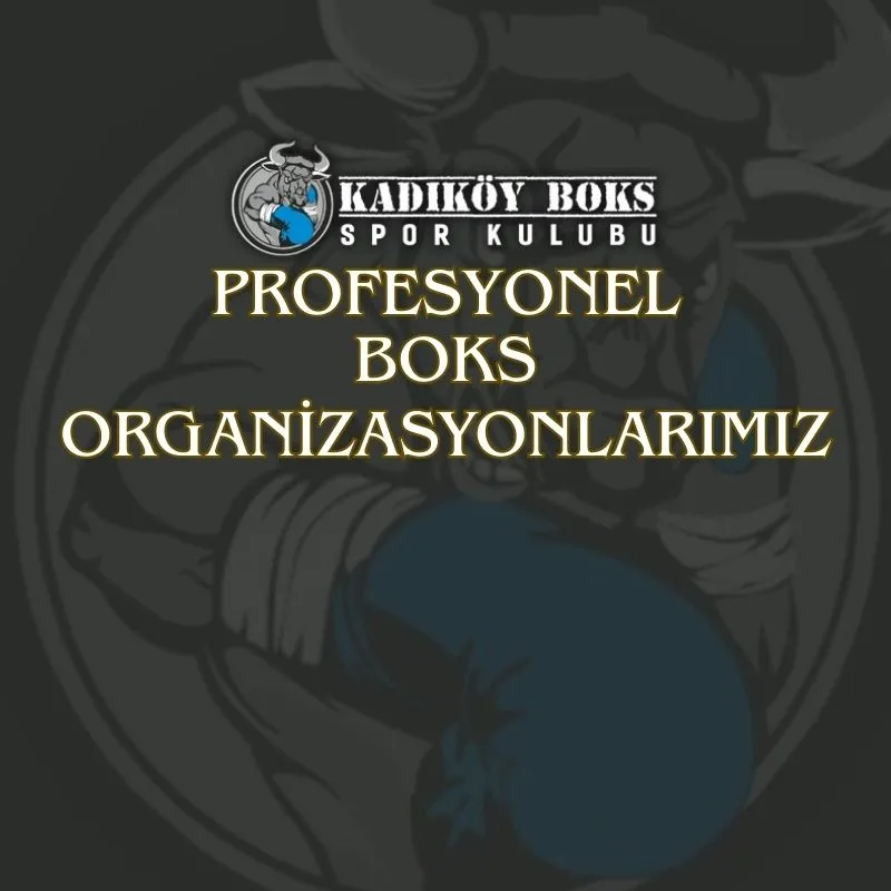 Profesyonel Boks Organizasyonlarımız